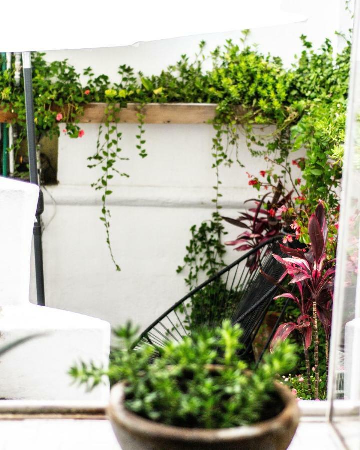 Gente de Más Bnb Heroica Puebla de Zaragoza Exterior foto