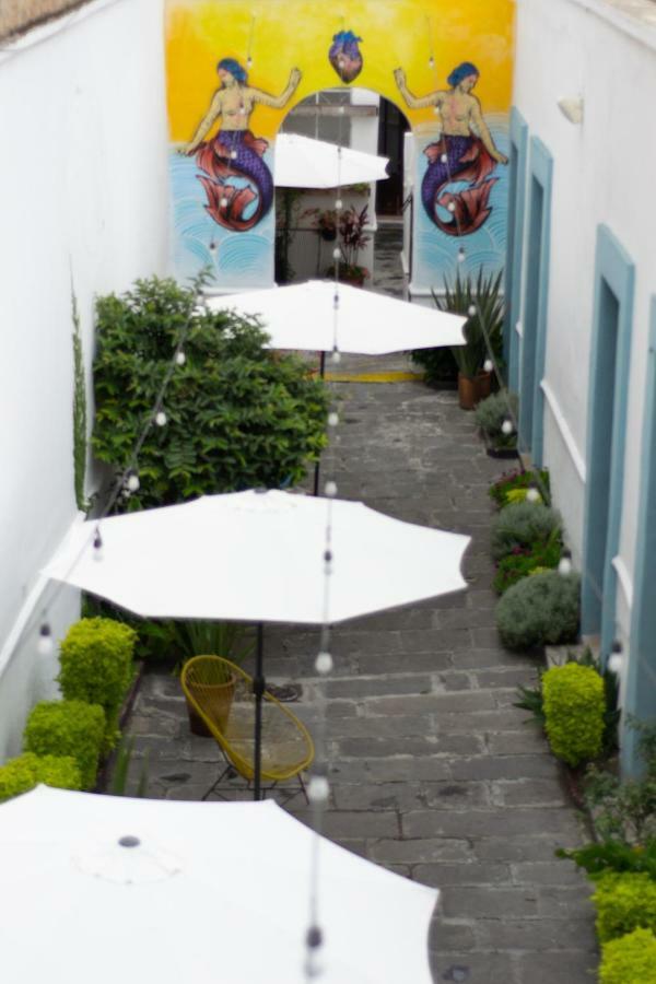 Gente de Más Bnb Heroica Puebla de Zaragoza Exterior foto
